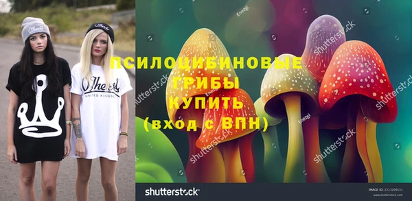 бошки Балахна