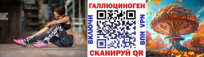 darknet как зайти  Ясный  Галлюциногенные грибы Psilocybe 